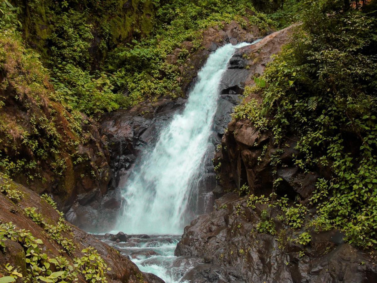 Cataratas Bijagua Lodge, Incluye Tour Autoguiado Bijagua Waterfalls Hike Экстерьер фото