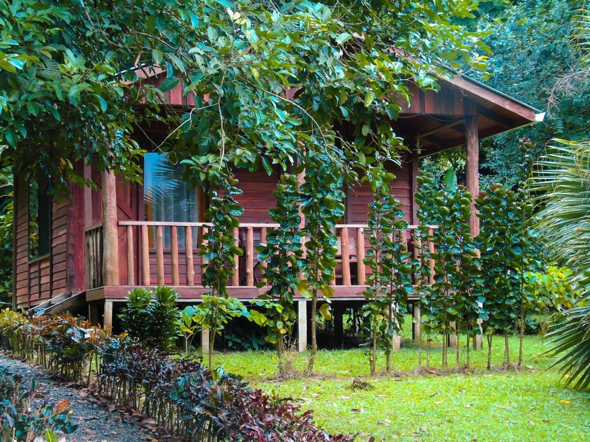 Cataratas Bijagua Lodge, Incluye Tour Autoguiado Bijagua Waterfalls Hike Экстерьер фото