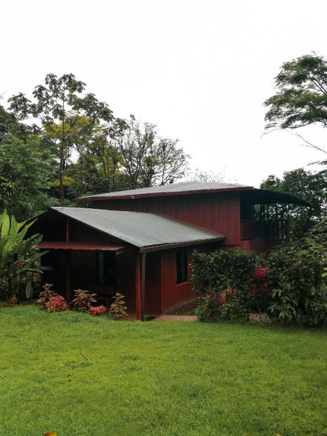 Cataratas Bijagua Lodge, Incluye Tour Autoguiado Bijagua Waterfalls Hike Экстерьер фото