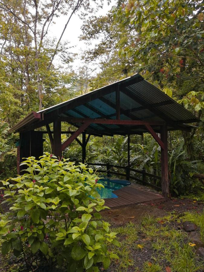 Cataratas Bijagua Lodge, Incluye Tour Autoguiado Bijagua Waterfalls Hike Экстерьер фото
