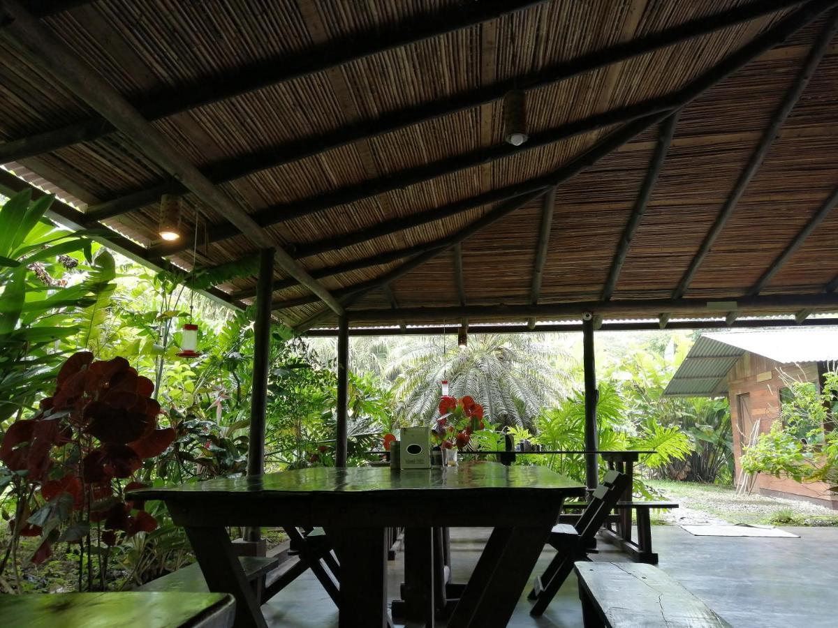Cataratas Bijagua Lodge, Incluye Tour Autoguiado Bijagua Waterfalls Hike Экстерьер фото