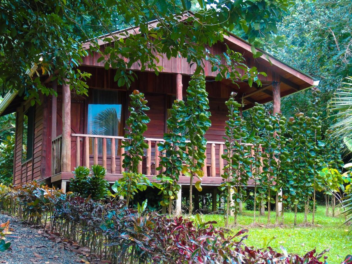 Cataratas Bijagua Lodge, Incluye Tour Autoguiado Bijagua Waterfalls Hike Экстерьер фото