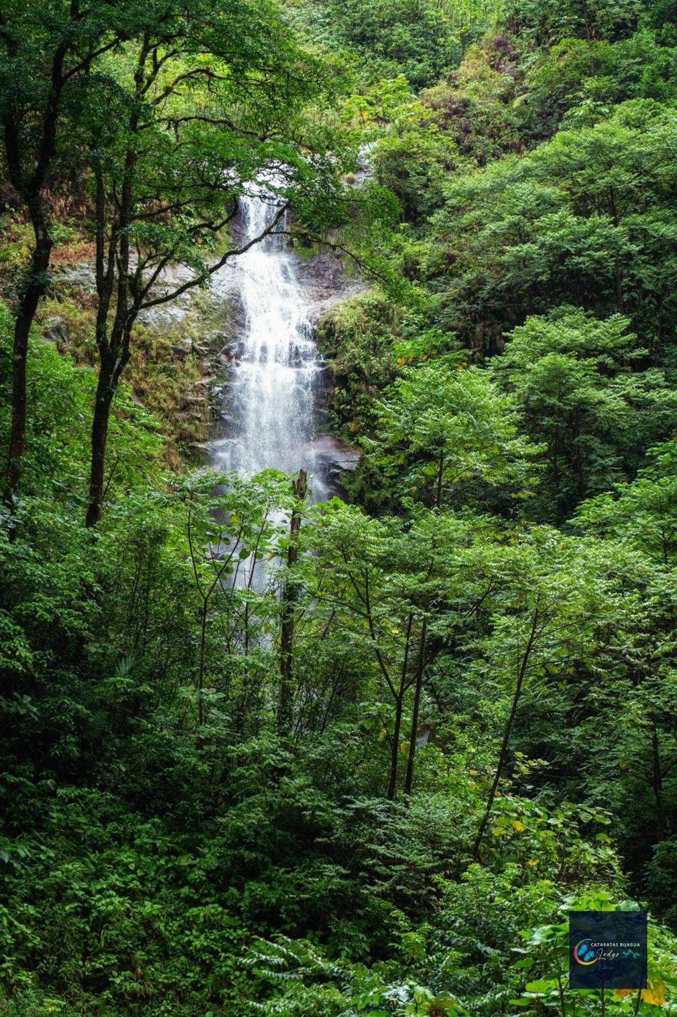 Cataratas Bijagua Lodge, Incluye Tour Autoguiado Bijagua Waterfalls Hike Экстерьер фото