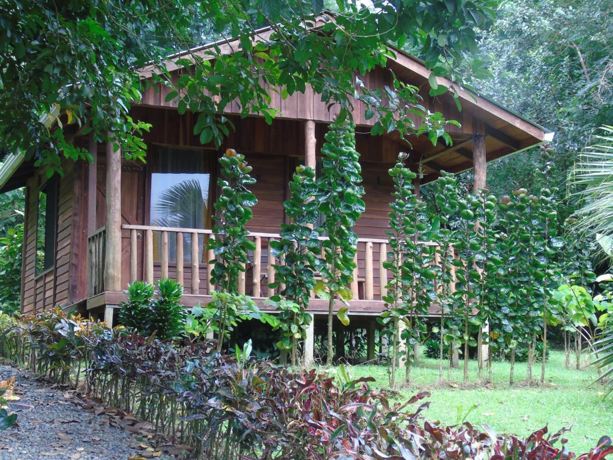 Cataratas Bijagua Lodge, Incluye Tour Autoguiado Bijagua Waterfalls Hike Экстерьер фото
